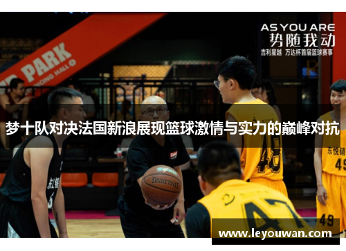 梦十队对决法国新浪展现篮球激情与实力的巅峰对抗