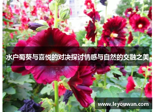 水户蜀葵与喜悦的对决探讨情感与自然的交融之美